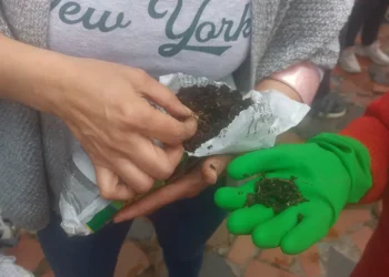 Residuos orgánicos para crear vida: