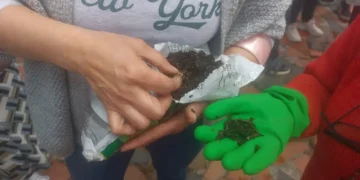 Residuos orgánicos para crear vida: