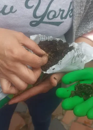 Residuos orgánicos para crear vida: