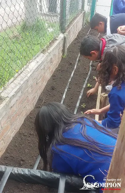 Estudiantes sembrando el huerto