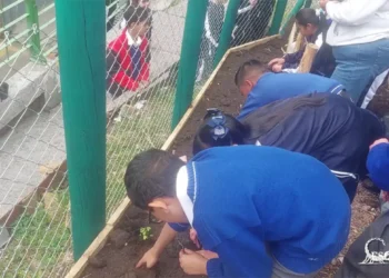 IED Alfredo Iriarte huerta escolar