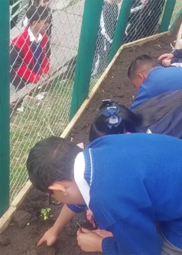 IED Alfredo Iriarte huerta escolar