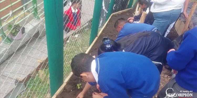 IED Alfredo Iriarte huerta escolar