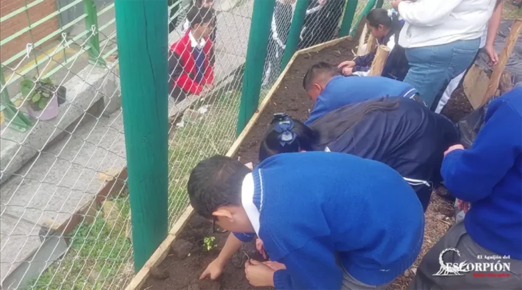 IED Alfredo Iriarte huerta escolar