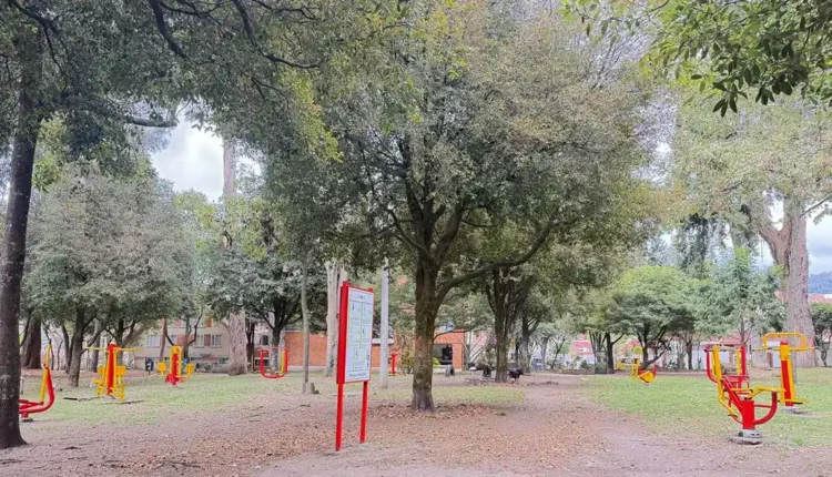 Parque Cedro Golf